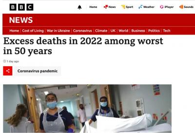 bbc excess death